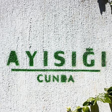 Ayisigi Hotel Айвалык Экстерьер фото